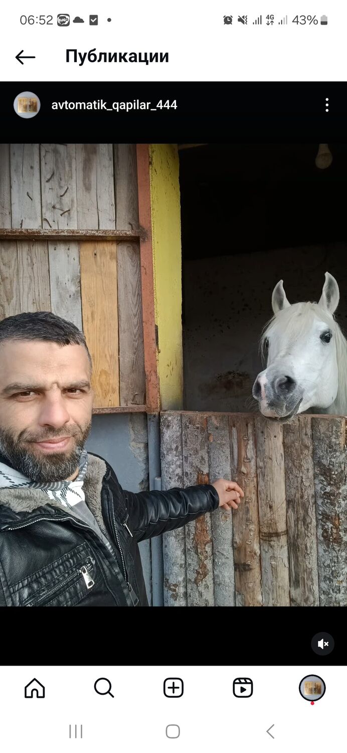 ���� 50959731 ������� Ѹ��, 31 ���, ���� ���������� � ����