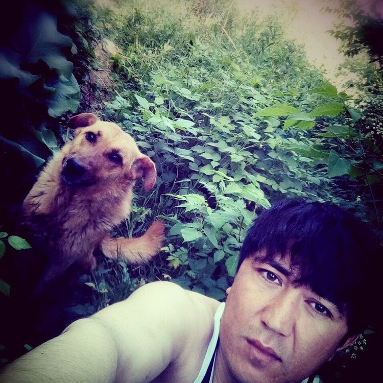 ���������� ������, ���� ������� ������, 36 ���, ������������ ��� ������, ����� � ���������