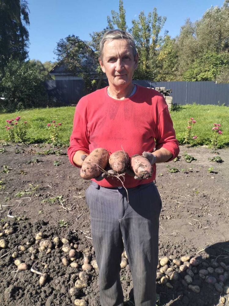 ���� 55301541 ������� ���, 61 ���, ���� ���������� � ����