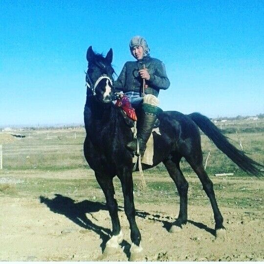  ,   Kaisar, 34 ,     , c 