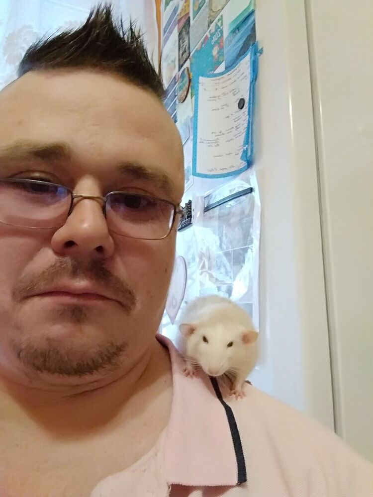 ���� 22442051 ������� ��������, 40 ���, ���� ���������� � ����