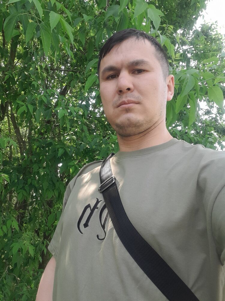 ���� 43648291 ������� ����, 33 ����, ���� ���������� � ������