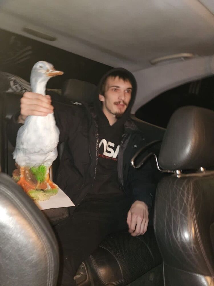  -,   , 28 ,   , 