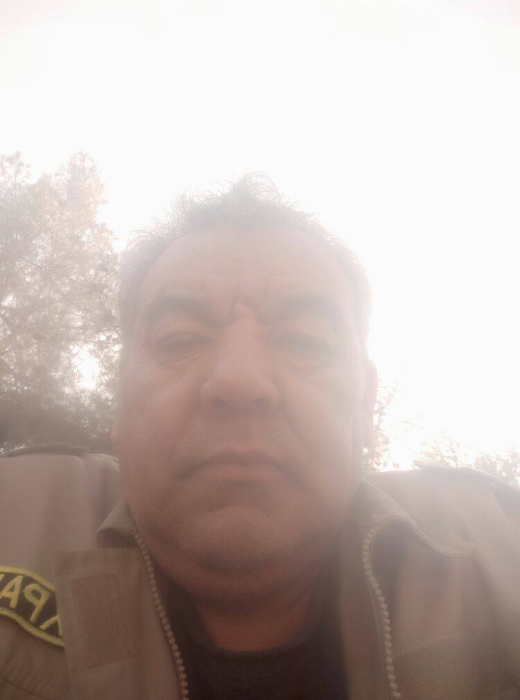 ���� 29451211 ������� ����������, 50 ���, ���� ���������� � ��������