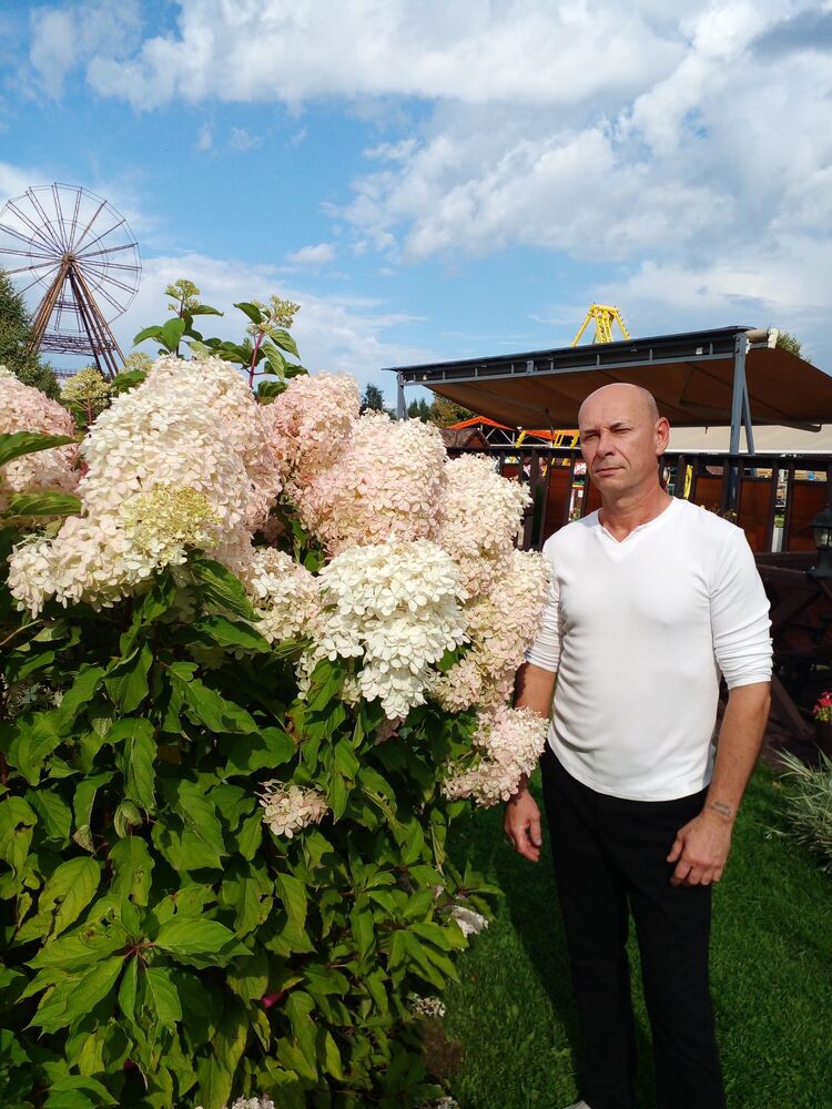 ���� 55988011 ������� ������, 55 ���, ���� ���������� � ������������