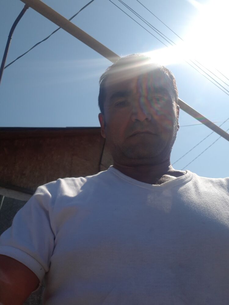  18037941  , 53 ,    