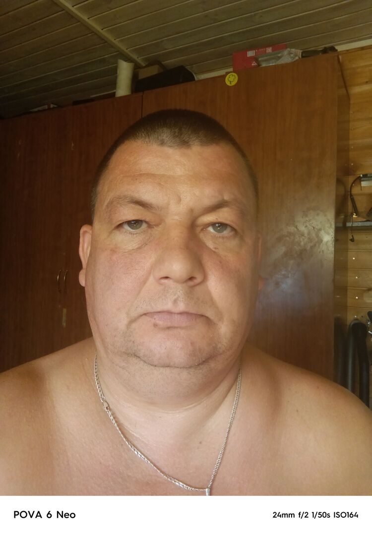  53186481  , 44 ,    