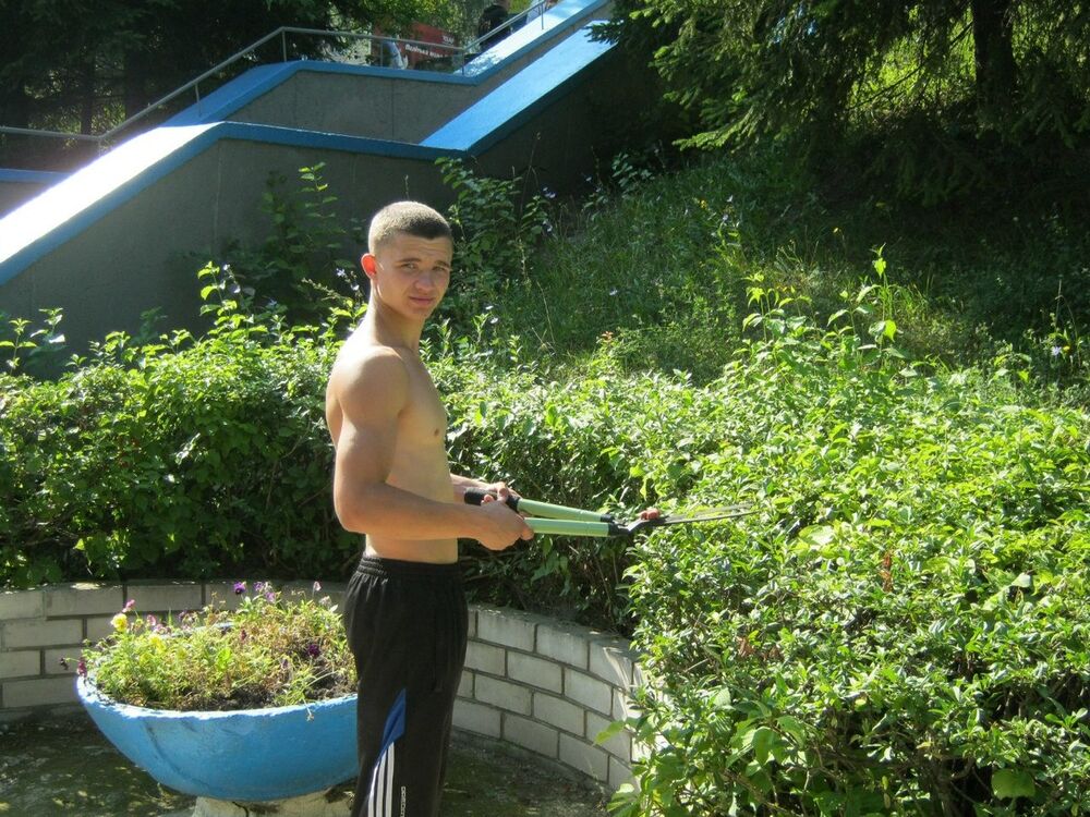 ���������� �����, ���� ������� Brus, 31 ���, ������������ ��� ������, ����� � ���������, c�������� ���������