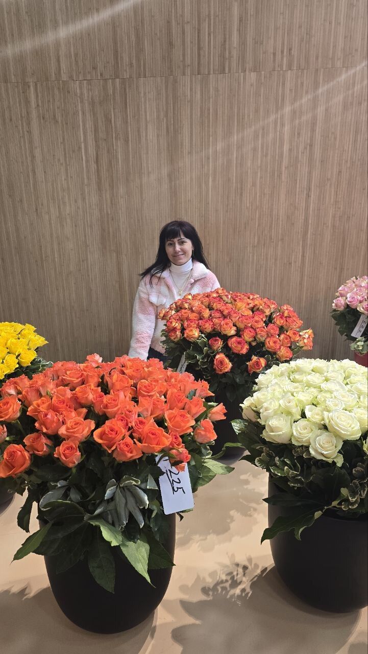 ���������� Beckum, ���� ������� �����, 46 ���, ������������ ��� ���������