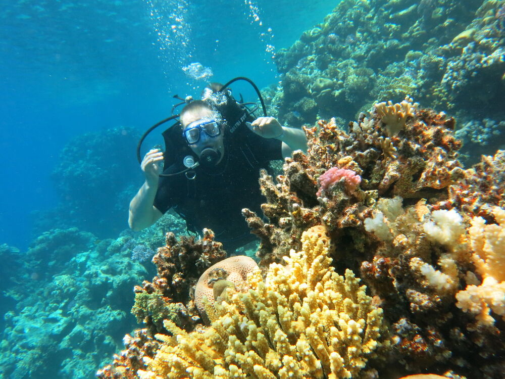 ���������� ���������, ���� ������� ����, 43 ����, ������������ ��� ������, ����� � ���������, c�������� ���������