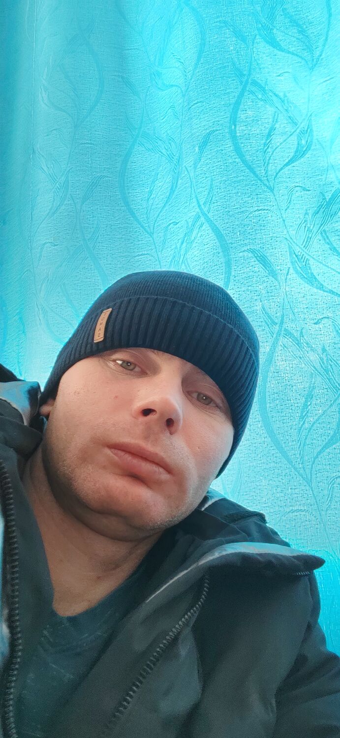  37485131  TVPantera, 37 ,    