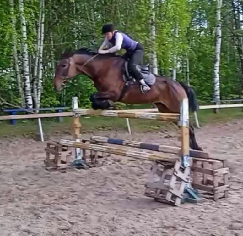 ���������� ������ ��������, ���� ������� �����, 50 ���, ������������ ��� ������, ����� � ���������, ���������