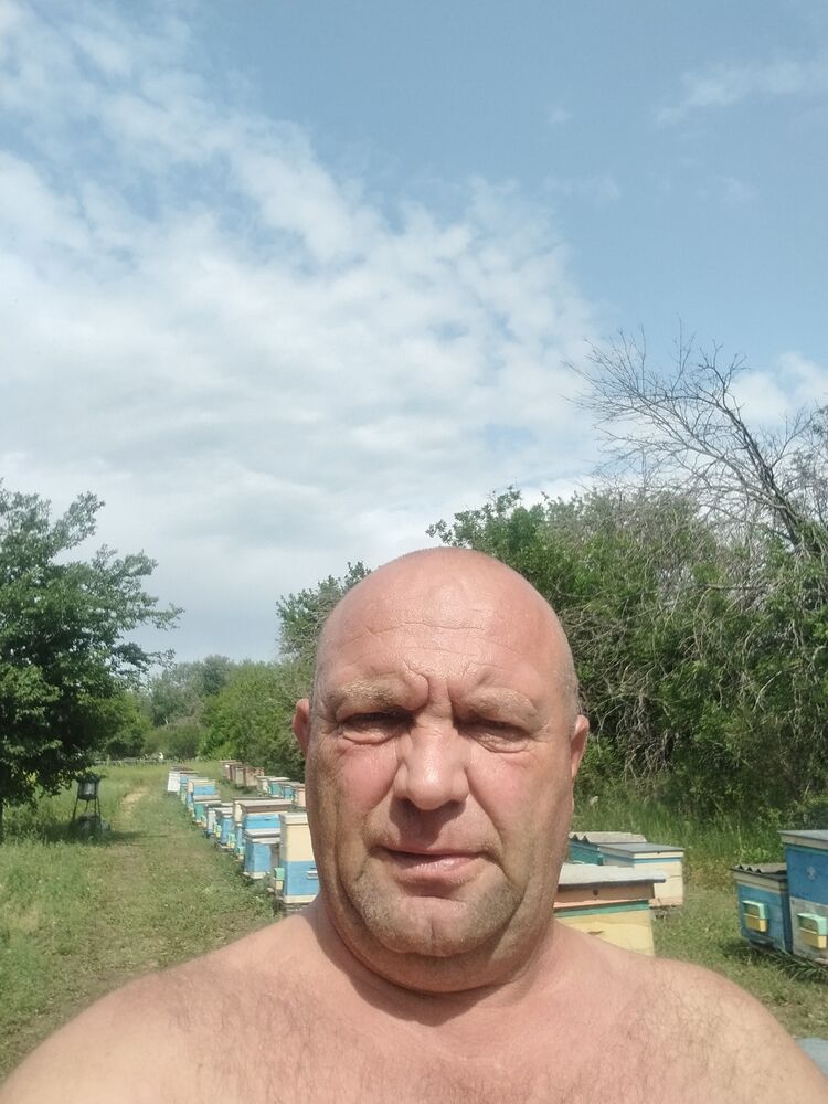 ���� 54165111 ������� �������, 48 ���, ���� ���������� � ������������