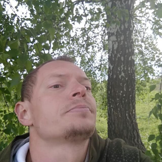  41103431  , 39 ,    