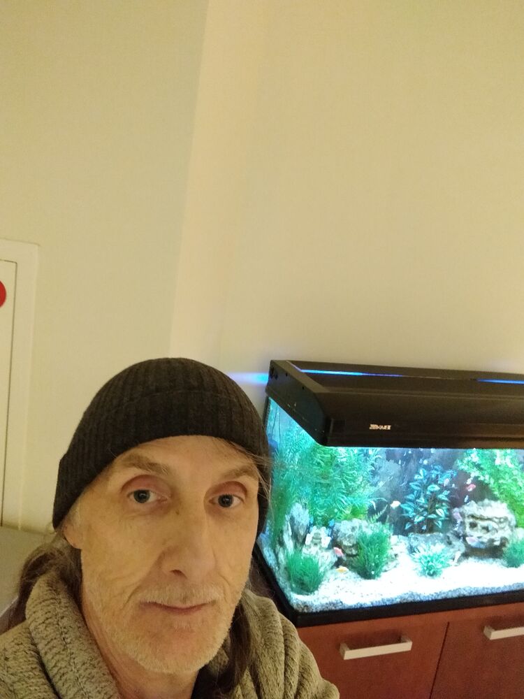 ���� 56018781 ������� �������, 49 ���, ���� ���������� � ������