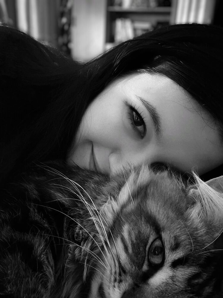 ���� 55085841 ������� ������, 26 ���, ���� ���������� � ��������