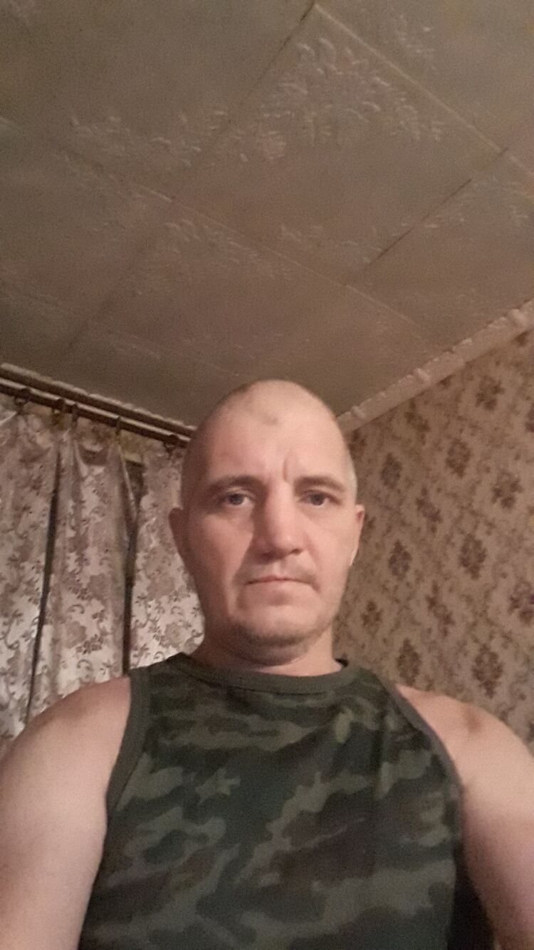  31138351  , 43 ,    