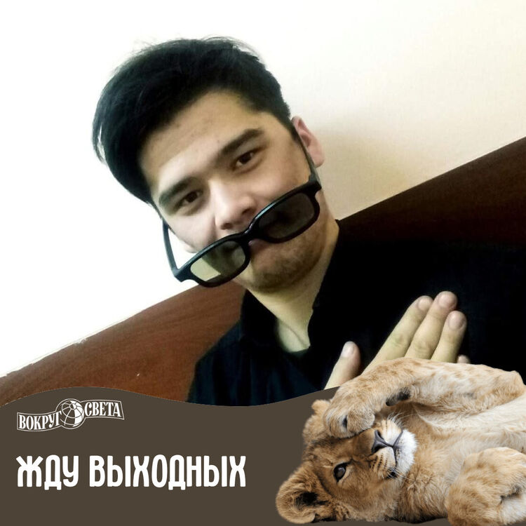 ���� 32143781 ������� Ulugstroy, 26 ���, ���� ���������� � ������