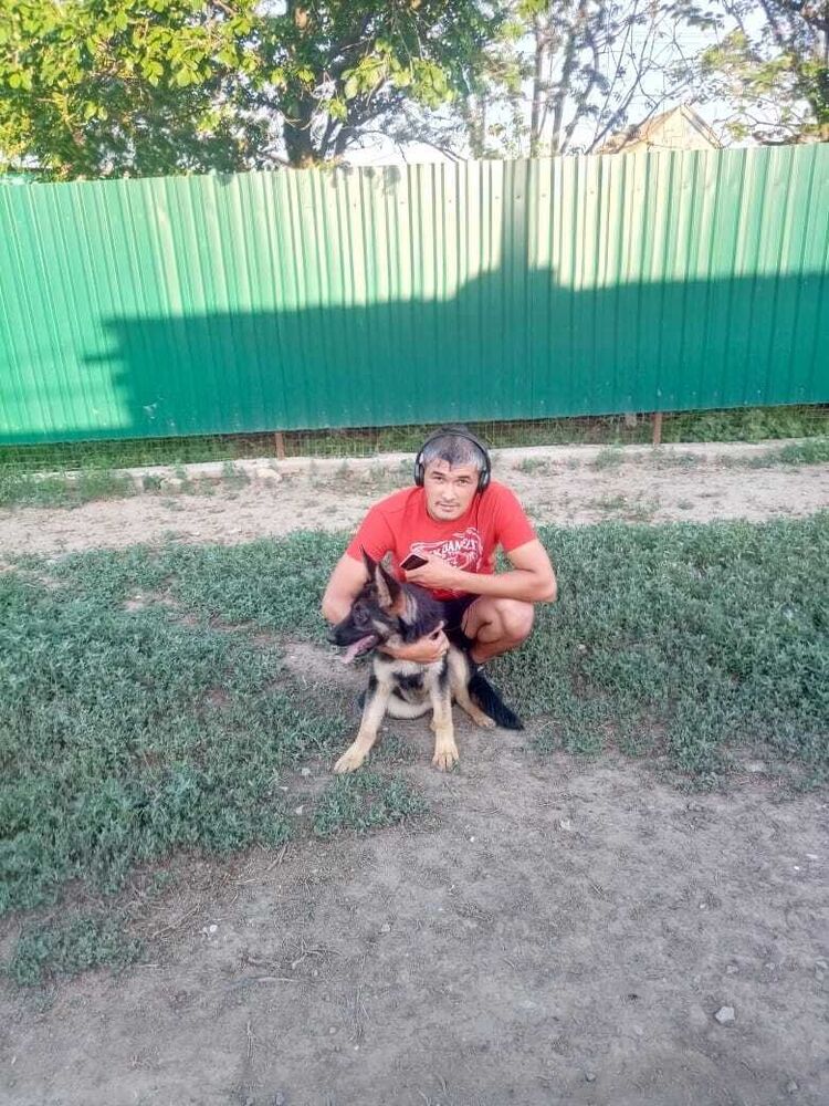  ,   , 37 ,   