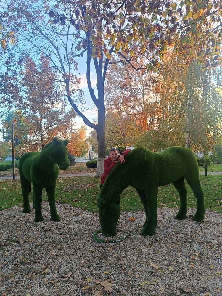 ���������� ���������, ���� ������� ������, 44 ����, ������������ ��� ������, ����� � ���������