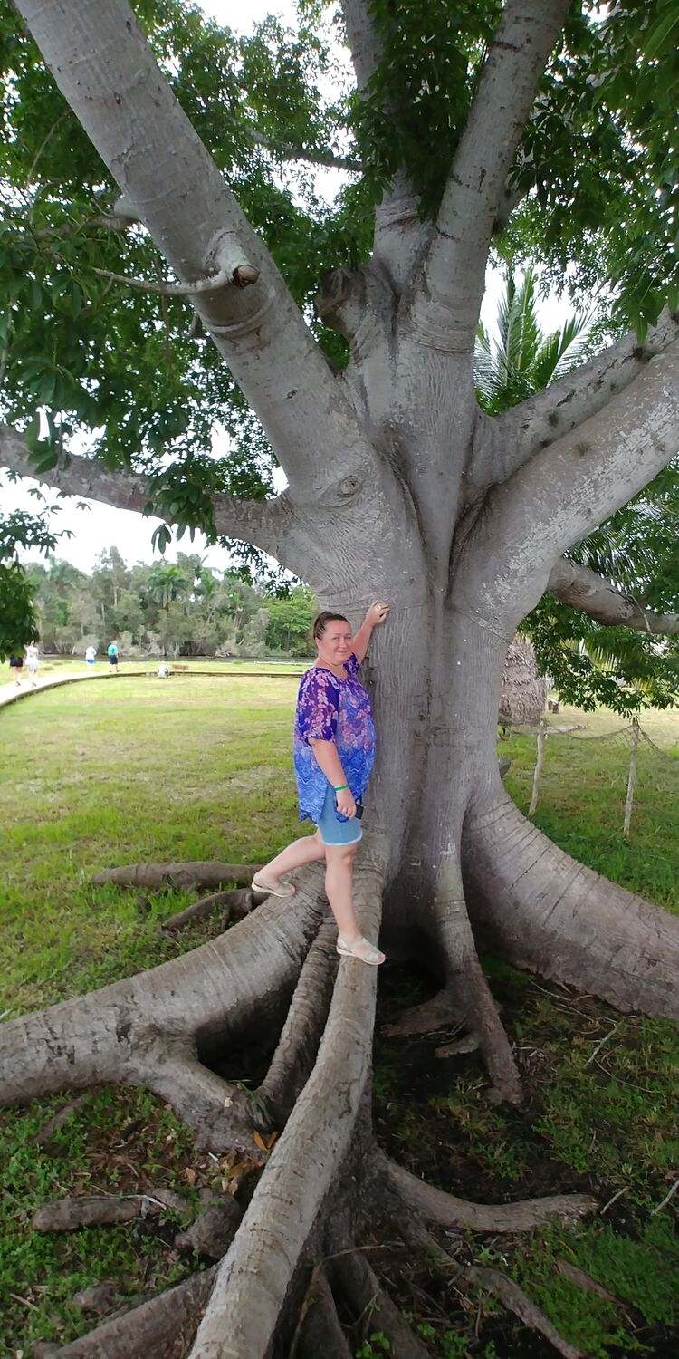 ���������� �����-���������, ���� ������� �������, 47 ���, ������������ ��� ����� � ���������, c�������� ���������