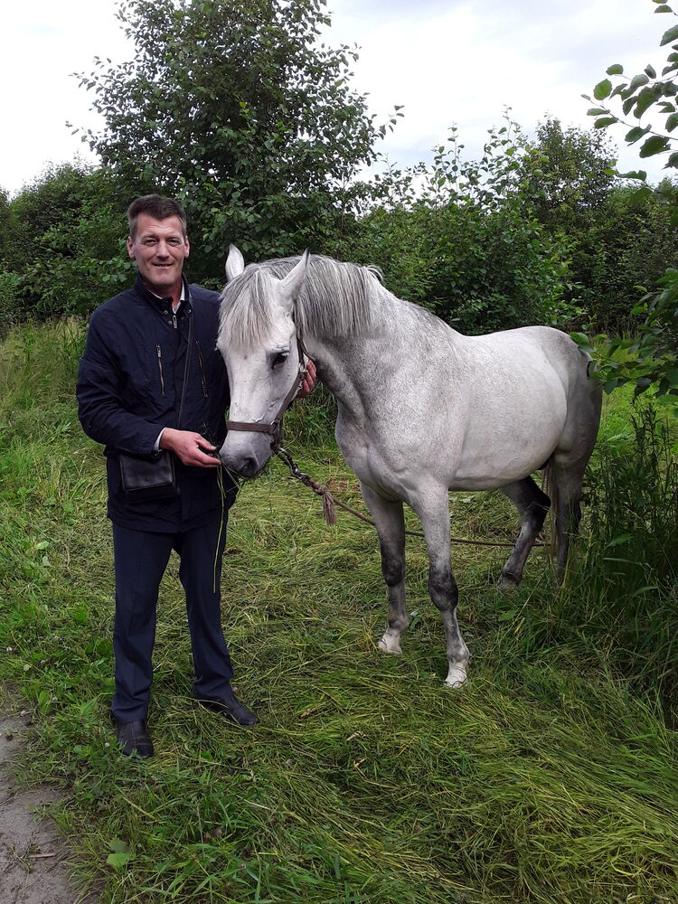 ���� 55988971 ������� ����, 51 ���, ���� ���������� � ��������