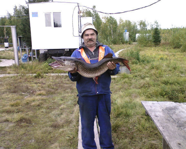  ,   , 62 ,   