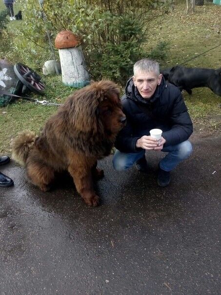 ���� 31707251 ������� ����, 48 ���, ���� ���������� � ������