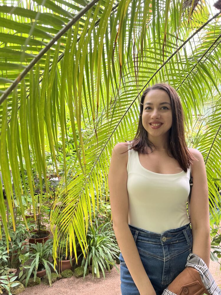  27753201  , 31 ,    -