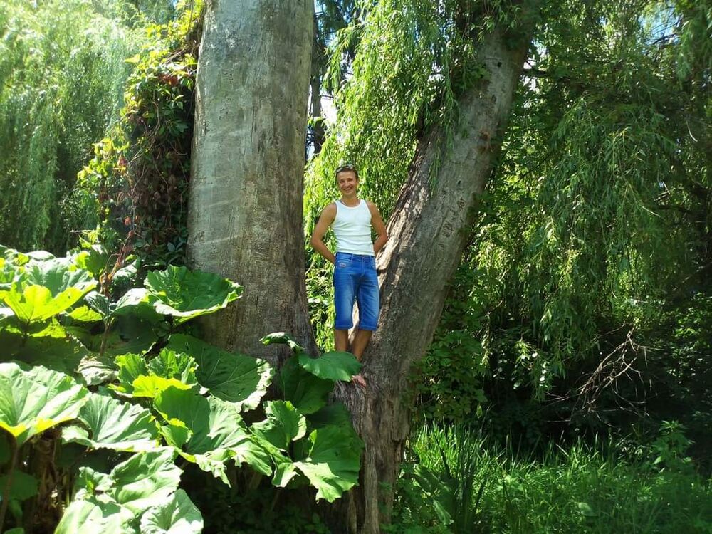 ���������� ����, ���� ������� �����, 36 ���, ������������ ��� ������, ����� � ���������, c�������� ���������, ���������