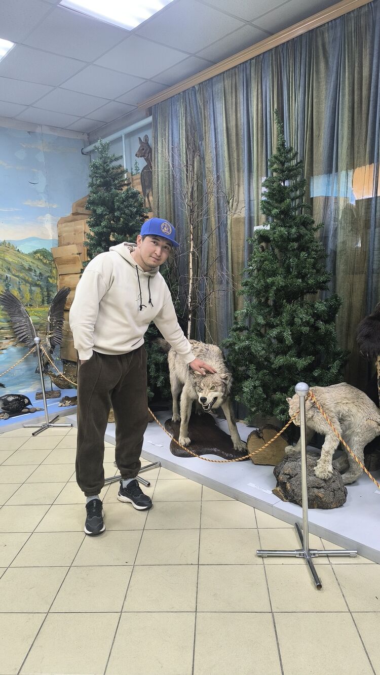 ���� 51766711 ������� �����, 30 ���, ���� ���������� � ������