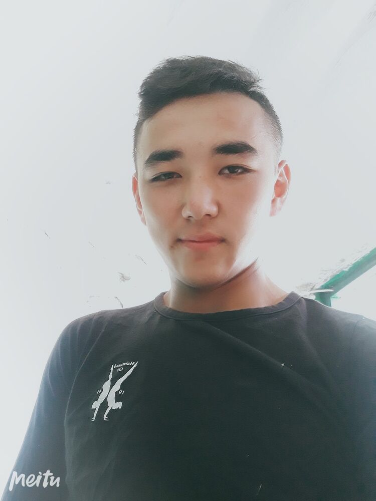  17278421  , 27 ,    -
