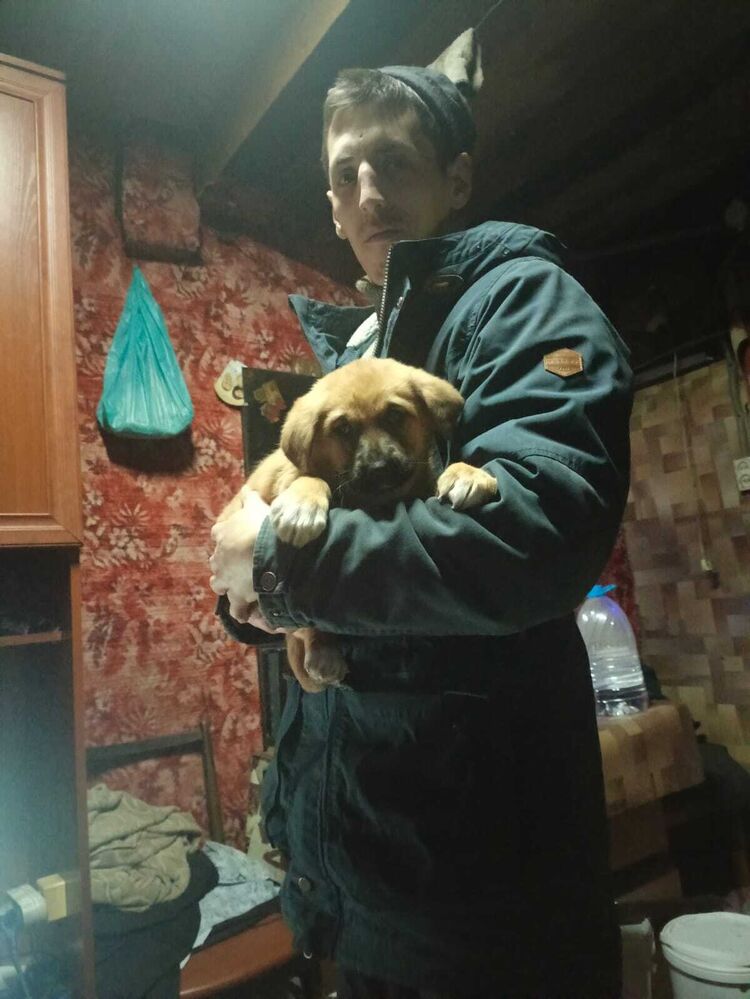 ���������� �����, ���� ������� �������, 26 ���, ������������ ��� ������, ����� � ���������, c�������� ���������