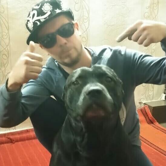 ���������� ������, ���� ������� �������, 36 ���, ������������ ��� ������, ����� � ���������, c�������� ���������