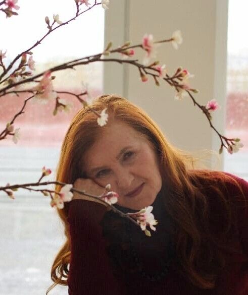  53141081  , 77 ,    -