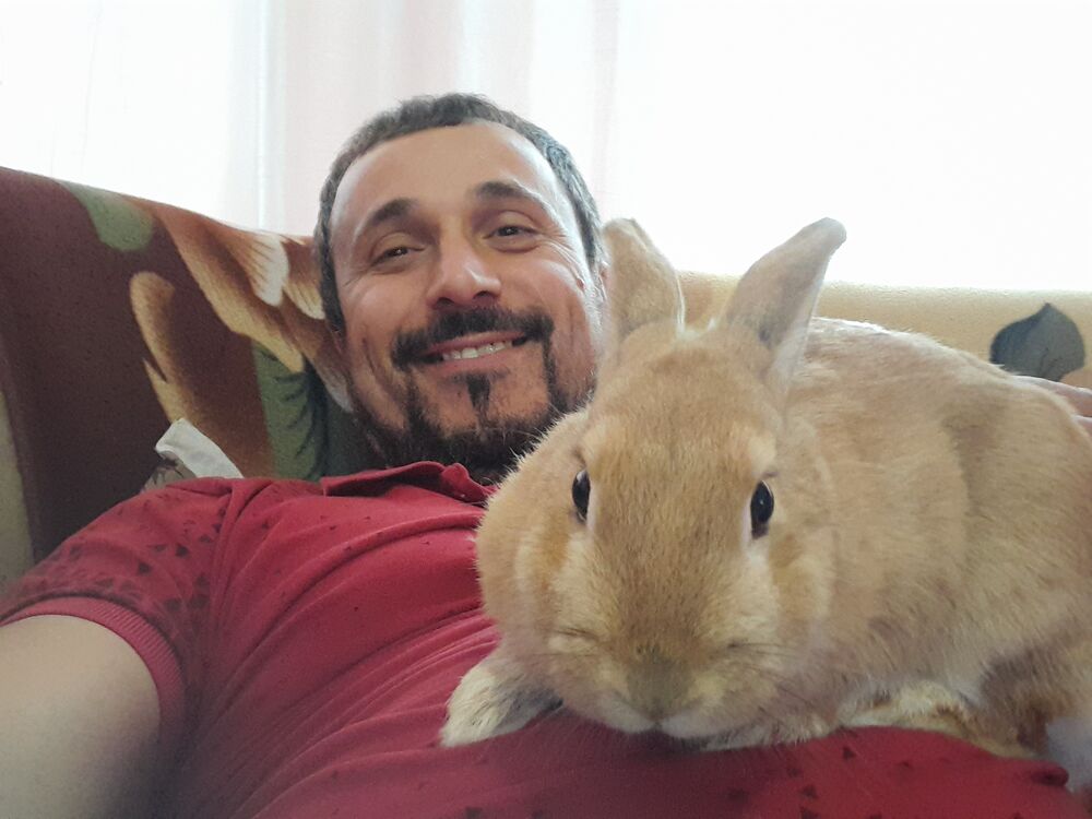  ,   , 44 ,   c 