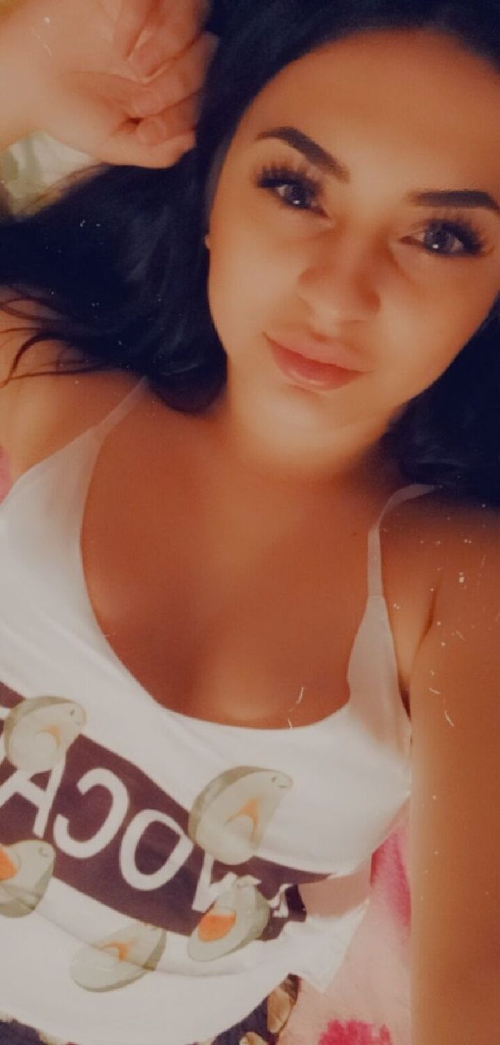  53155031  , 29 ,    