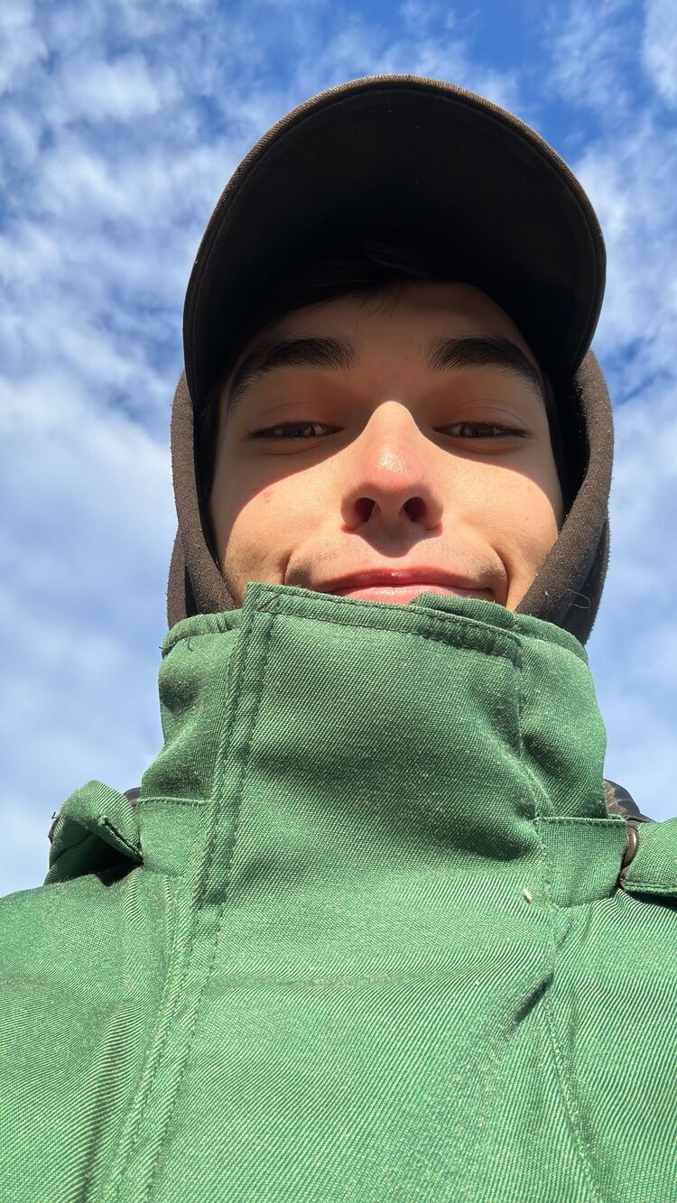 ���� 31956401 ������� ������, 36 ���, ���� ���������� � ������