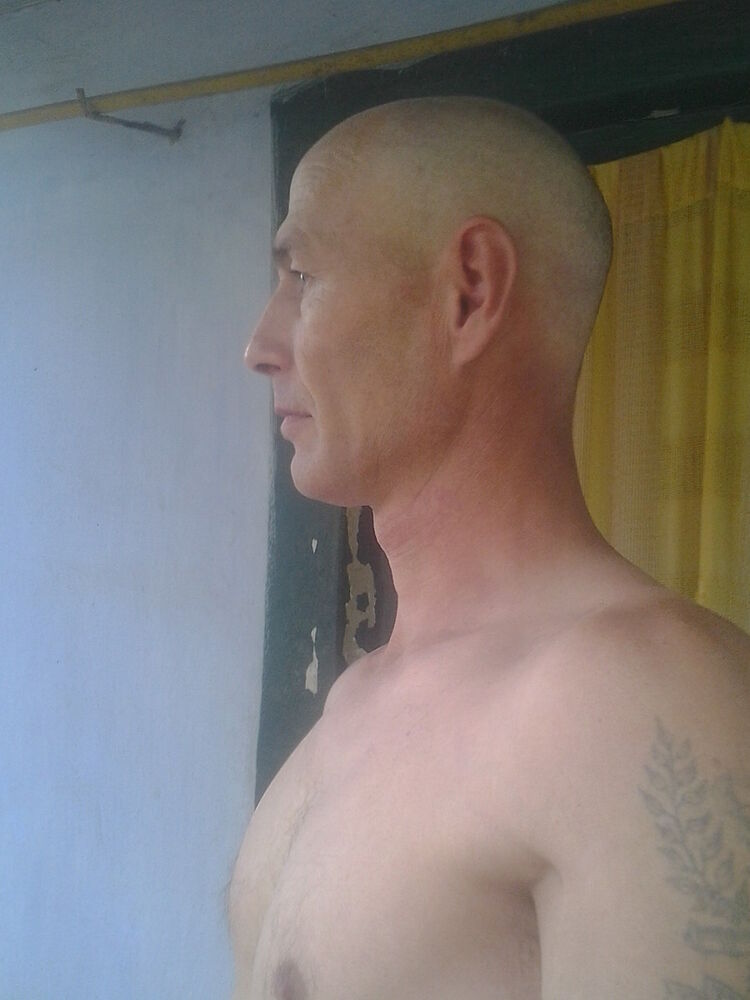 ���� 10142631 ������� Vilen, 48 ���, ���� ���������� � ������