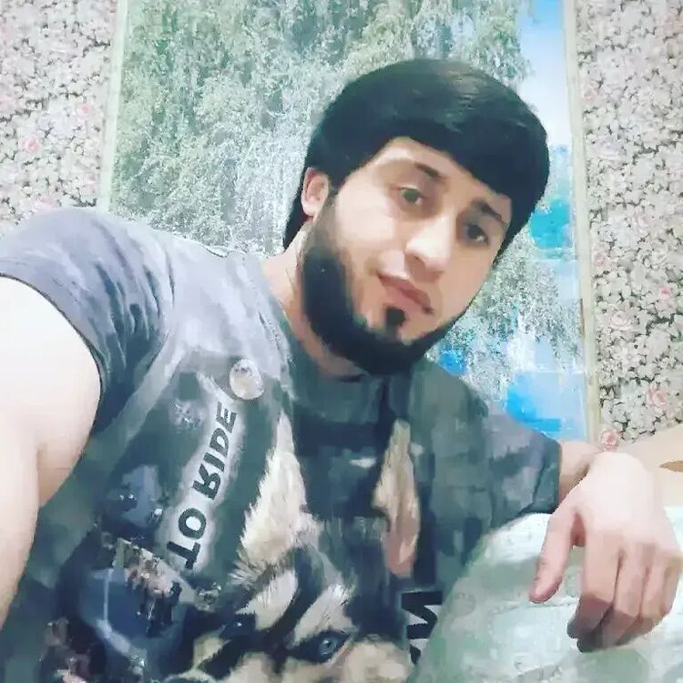  34902531  , 33 ,    -