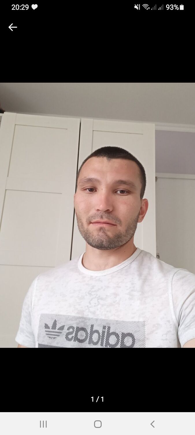  26245841  , 31 ,    