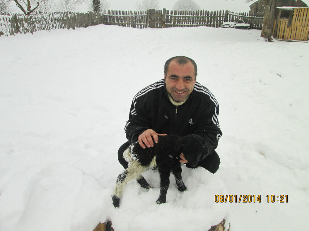  ,   Emzari, 46 ,   