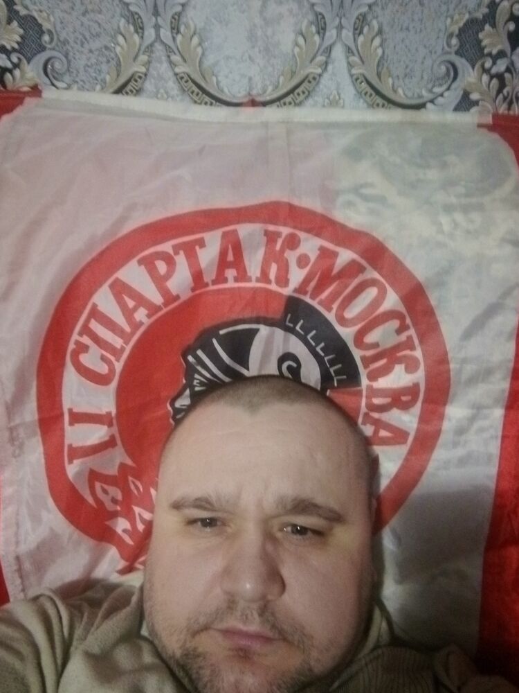  49931551  , 41 ,    