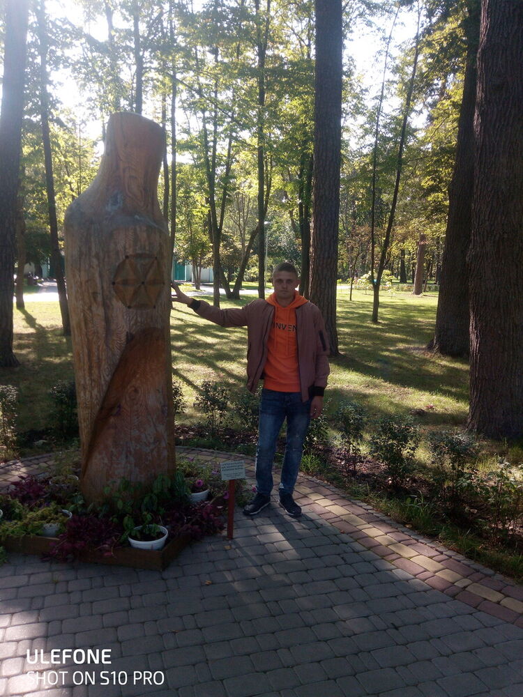 21154741  , 29 ,    