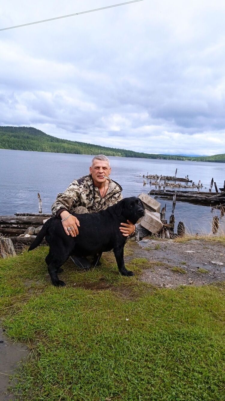 ���� 38525891 ������� ���������, 52 ����, ���� ���������� � �����-����������