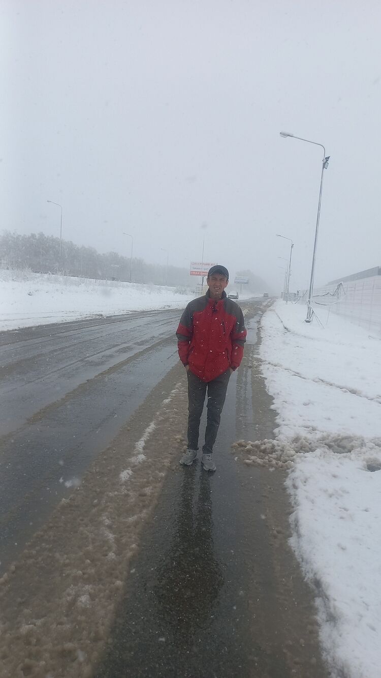 ���� 43873811 ������� ����, 38 ���, ���� ���������� � �������������