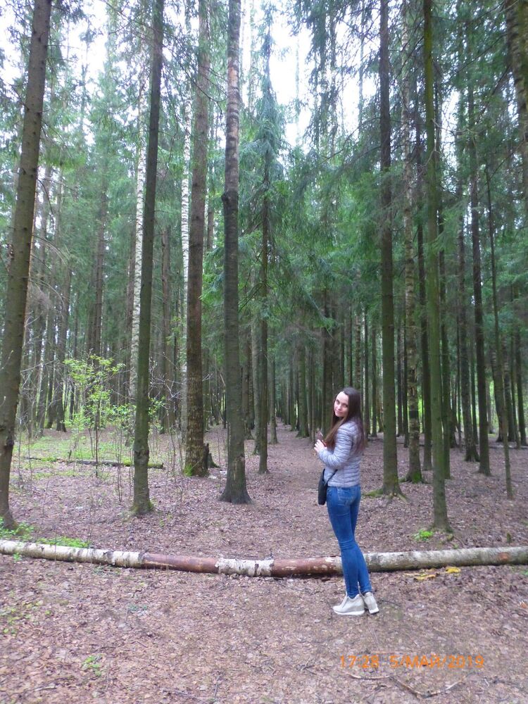 ���������� �����-���������, ���� ������� �������, 38 ���, ������������ ��� ����� � ���������, c�������� ���������, ���������