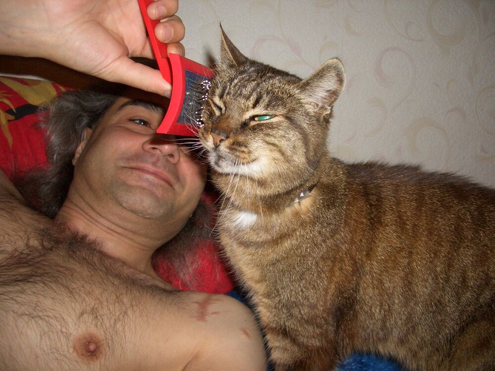  -,   Bender, 53 ,   