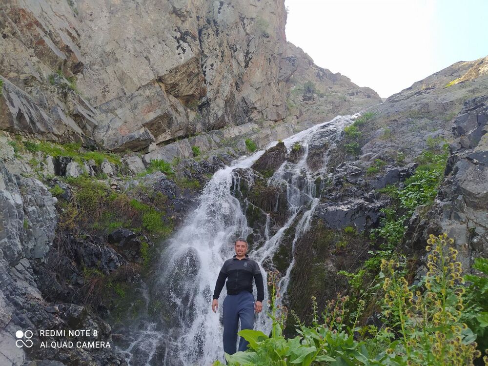 ���� 40211391 ������� Sher, 41 ���, ���� ���������� � ��������