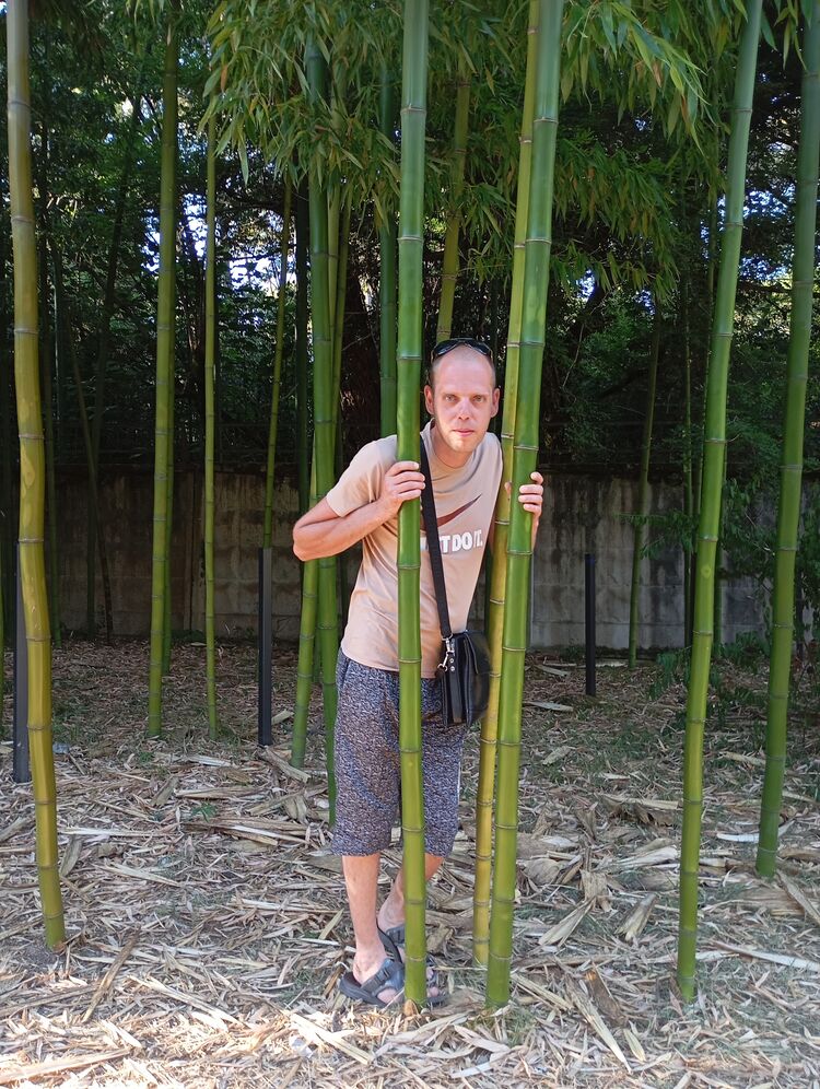 ���� 55671541 ������� ����, 36 ���, ���� ���������� � ��������